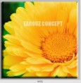 /album/photo-gallery-canvas-uri/decoratiuni-de-perete-canvas-lc-0692-jpg/